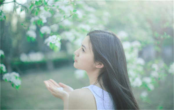 东城验血查男女几周可以验(验血查男女结果图)
